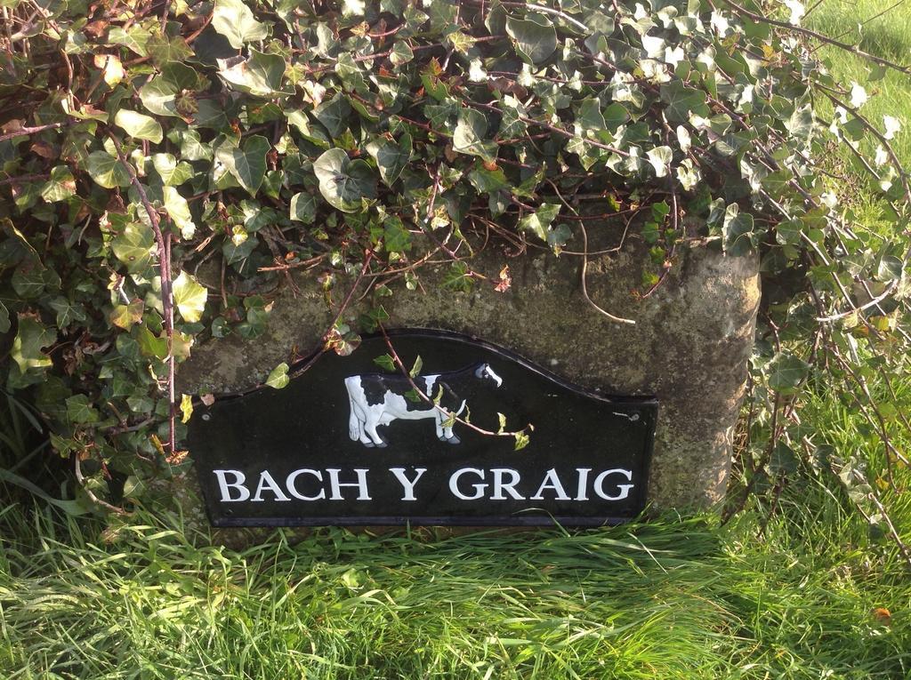 Bach Y Graig Otel St Asaph Dış mekan fotoğraf