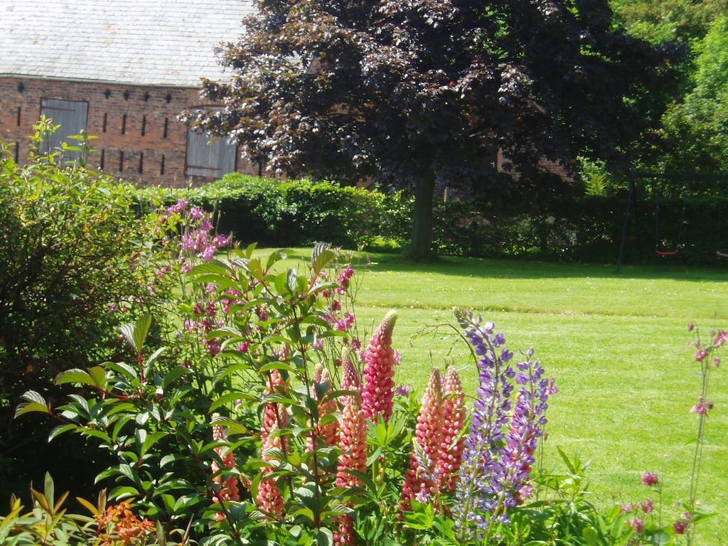 Bach Y Graig Otel St Asaph Oda fotoğraf