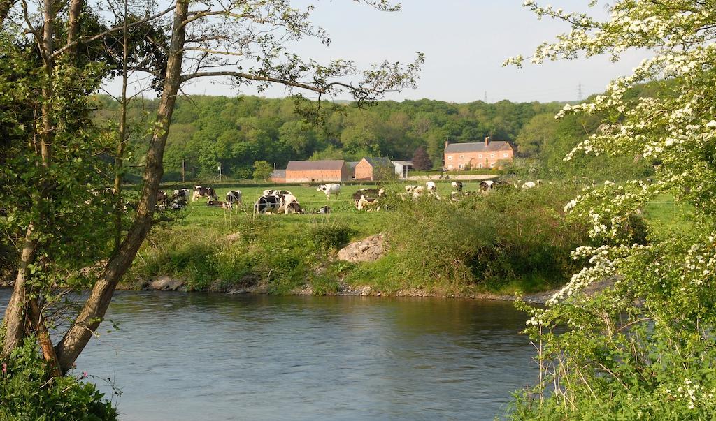 Bach Y Graig Otel St Asaph Dış mekan fotoğraf